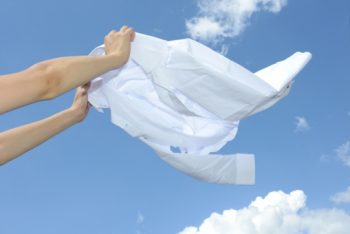 毛虫の洗濯物対策 毛のついた服の洗濯方法と洗濯機の対処方法 1 2mama