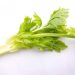 セロリの大量保存で簡単なのは？スープや漬物以外のレシピと保存食