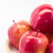 りんごのコンポートの日持ちは？保存は冷蔵庫と冷凍庫でどのくらいもつ？